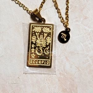 Stainless Steel Scorpio necklace